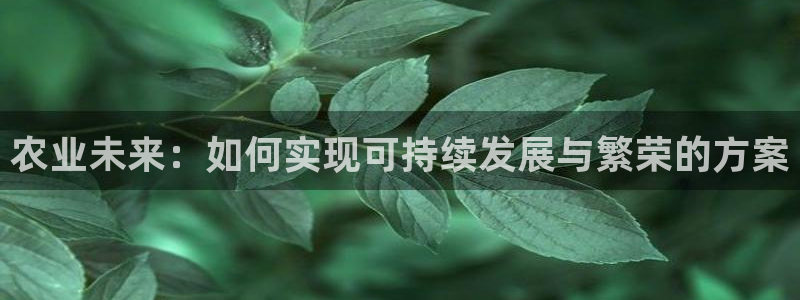 天辰娱乐官