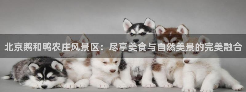 天辰 娱乐注册