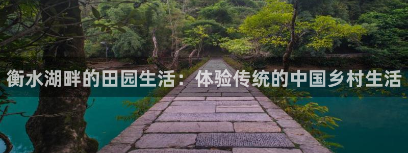 天辰娱乐51137