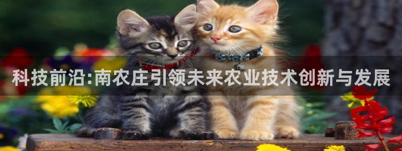 腾讯天辰娱乐
