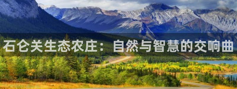 天辰娱乐 天辰平台