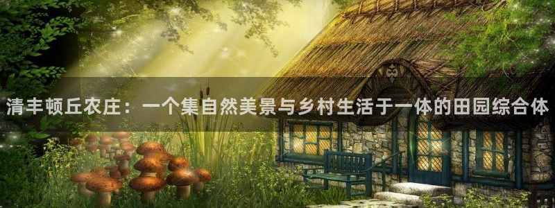 天辰娱乐卡