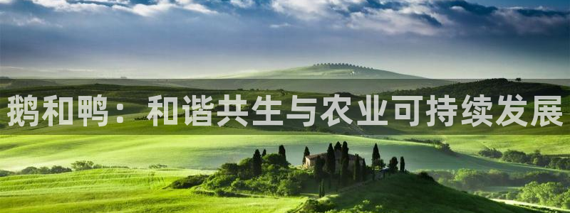 天辰娱乐赌博