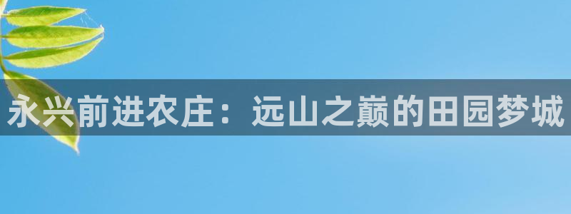 天辰娱乐平台注册