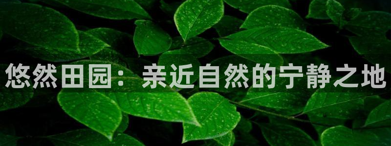 天辰娱乐公司