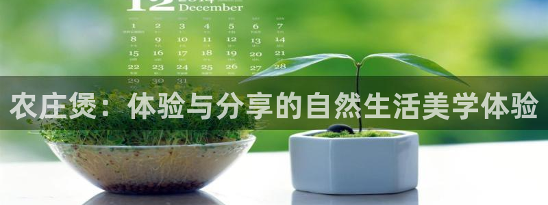 天辰娱乐天辰宝