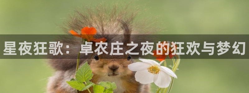 南充天辰娱乐