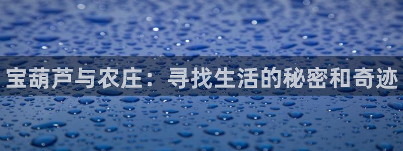 天辰娱乐平台app下载