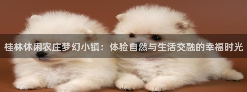 天辰娱乐测速