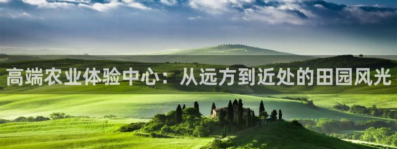 天辰宝宝娱乐