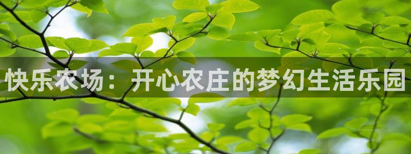 南京天辰娱乐