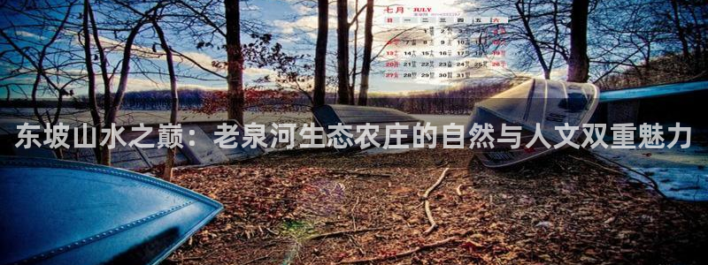 天辰娱乐咋样