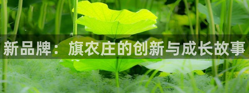 天辰娱乐官方网