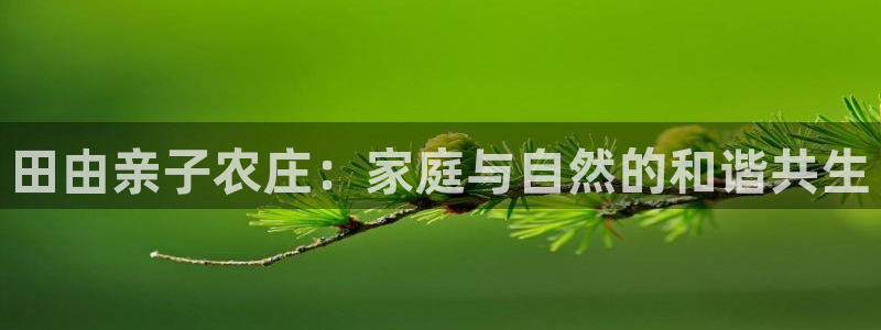 天辰娱乐论坛