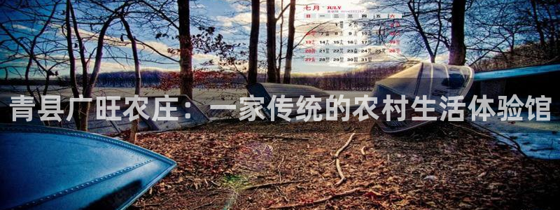天辰娱乐在线