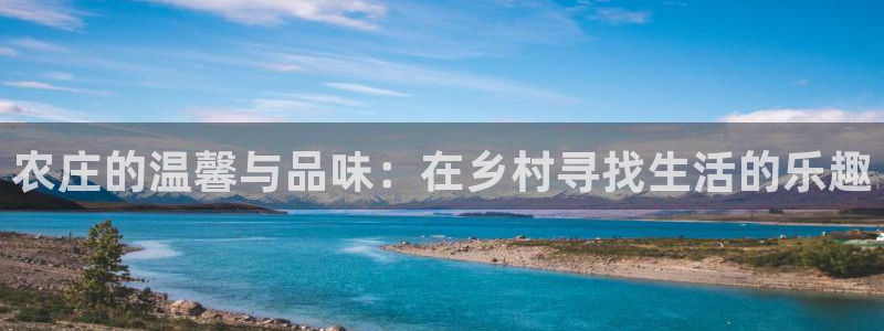 天辰娱乐股票