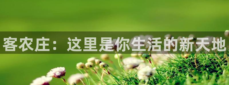 天辰娱乐股票