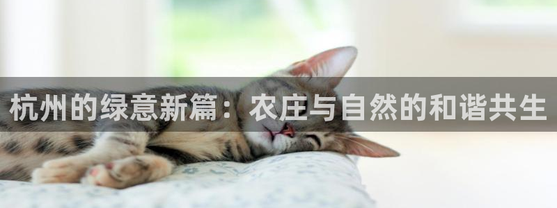 天辰娱乐白屏