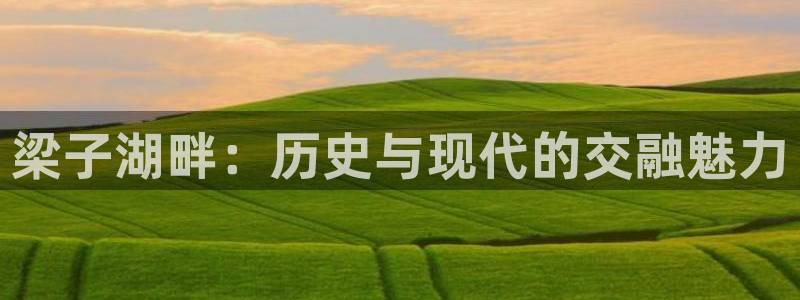 天辰娱乐平台安全吗