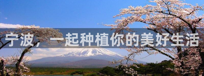 天辰国际娱乐