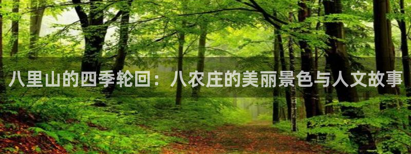 天辰娱乐简介