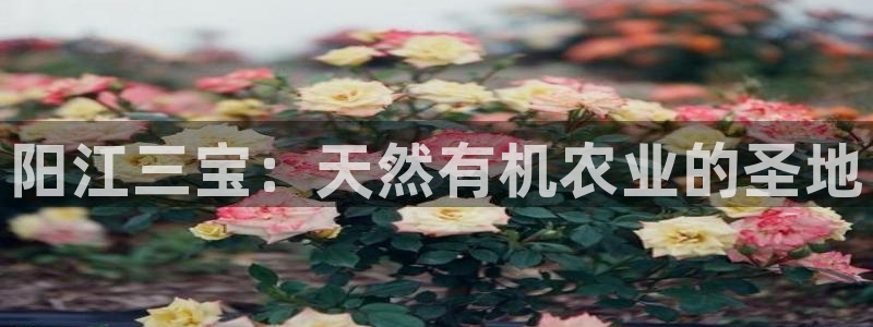 天辰娱乐平台入口