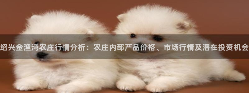天辰2娱乐