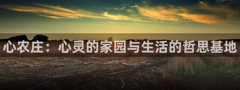 天辰娱乐会员