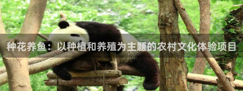 天辰娱乐传媒