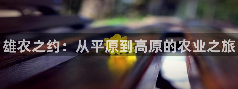 天辰娱乐10086