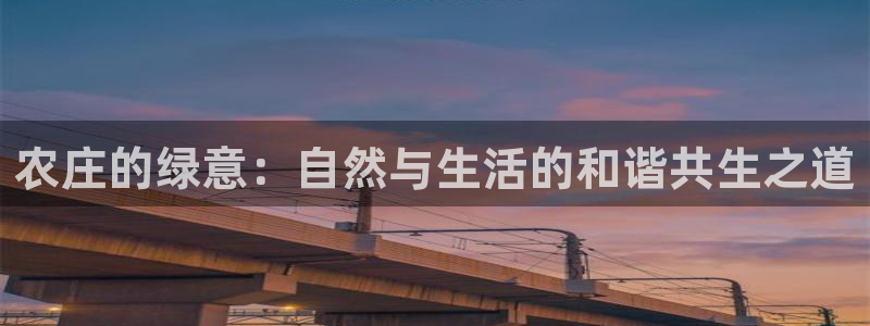 天辰娱乐文化
