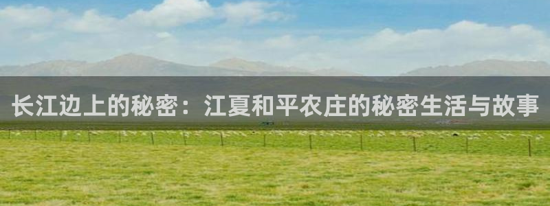 天辰娱乐文案