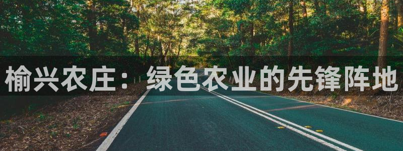 天辰娱乐所
