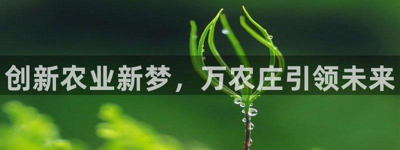 天辰娱乐上级