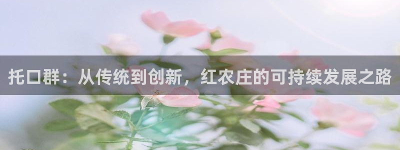 天辰娱乐直属
