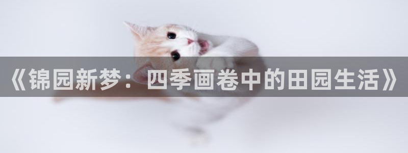 天辰娱乐44616