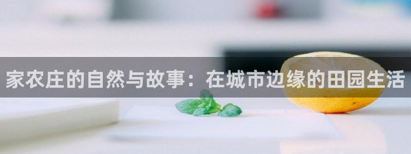 天辰娱乐招商