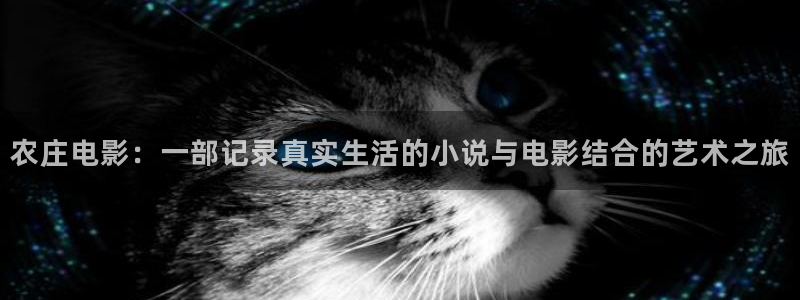天辰娱乐反水