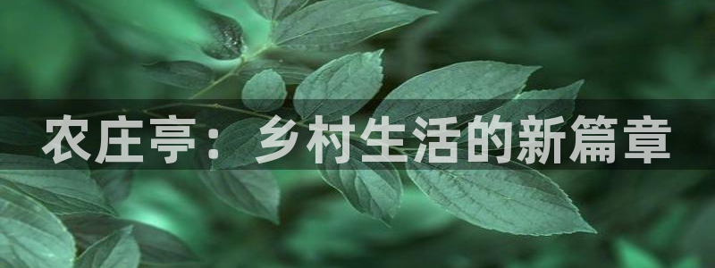 菲律宾天辰娱乐
