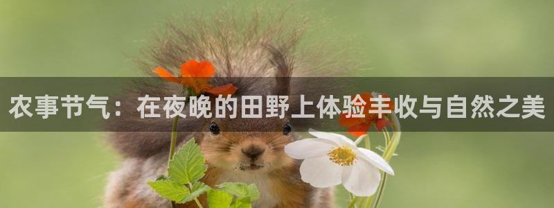 天辰娱乐十分彩