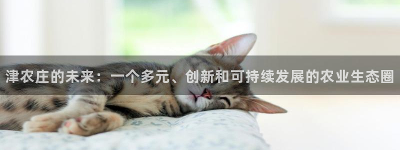 天辰娱乐指尖所