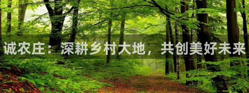 天辰娱乐小妹