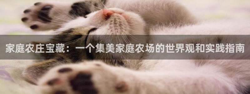 大庆天辰娱乐