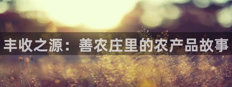 天辰娱乐官网