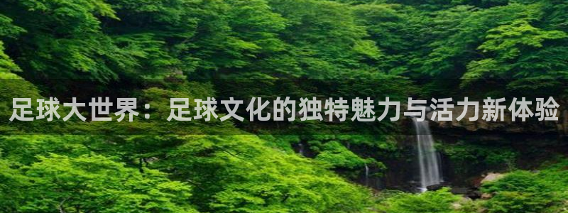 天辰娱乐上级
