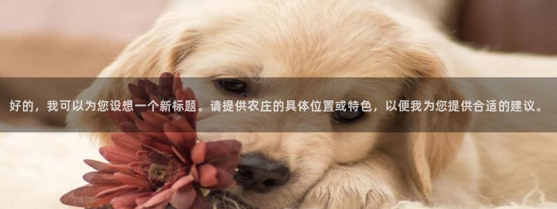 天辰娱乐53551