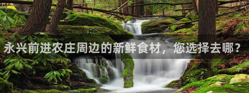 天辰娱乐老板