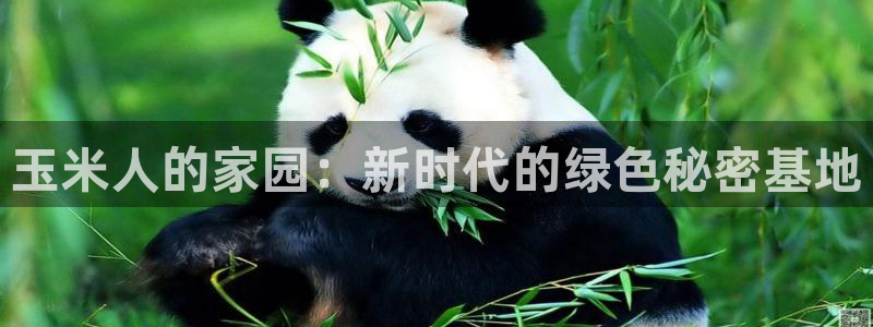 天辰娱乐官网平台下载