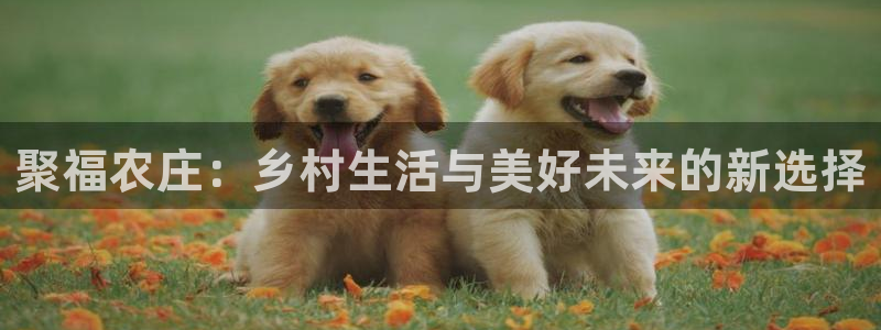 天辰娱乐文案