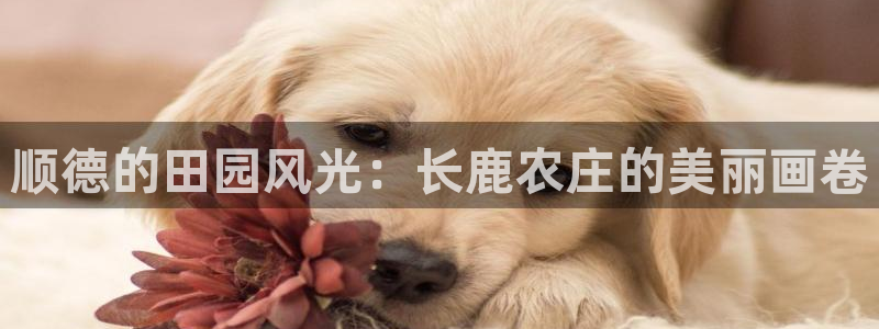 天辰娱乐84566